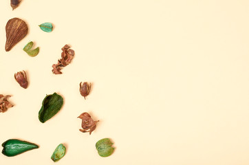 Leaves composition. Nature concept background. Flat lay