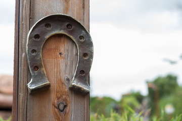 Horseshoe lucky horse