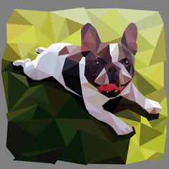 french bulldog smiles lying on grass in  low poly style vector graphic