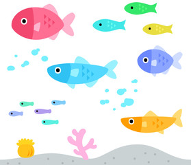 Naklejka premium カラフルなたくさんの魚