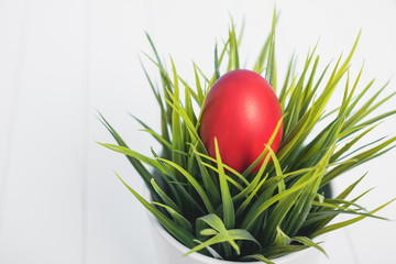 Top view of Easter eggs clean in grass on white wooden background