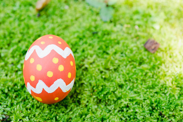 Beautiful Easter Red color egg on garden green grass