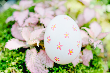 Beautiful Easter White color egg on garden