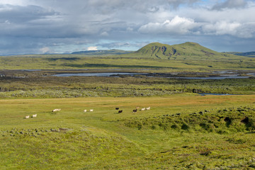 Fototapeta na wymiar entlang der F208, Island