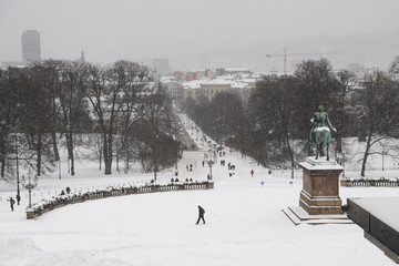 View from the Royal Palace on Statue of King Karl Johan in  Oslo, Norway. 28-01-2019