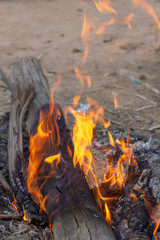 The image of logs in the burning fire. Flame of the burning fire.