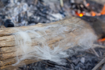 The image of logs in the burning fire. Flame of the burning fire.