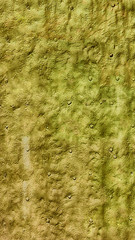 Macro from Beautiful Abstract Grunge Decorative Stucco Wall Background