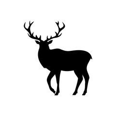 deer with large branched horns