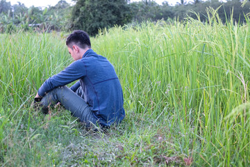 Discouraged farmer sit on ground at rice field at evening. Back view.