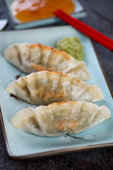 Pan fried korean dumplings served on a turquoise plate, selective focus, closeup