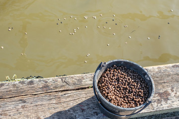 Small size fish grain food in small black tank placing on fish cage in Thailand.