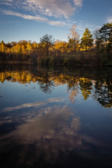 Fototapeta premium autumn fallen leaf tree evening forest lake