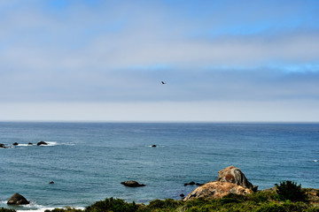 Fototapeta na wymiar Coast of the Pacific Ocean on a cloudy day. California, USA