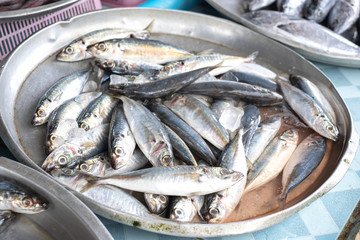 Fresh raw mackerel in Thai local market.