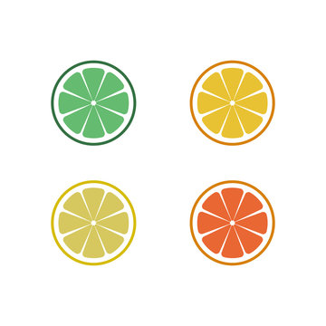 Fresh citrus fruits slices. vector illustration. Set of lime, lemon, orange and grapefruit