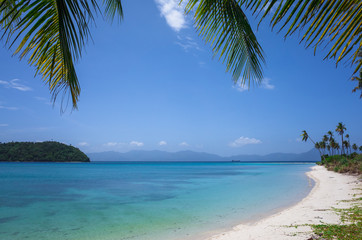Fototapeta na wymiar Palm Fronds on Pristine Paradise Beach - Bonbon, Romblon - Philippines