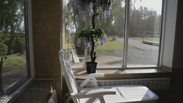 Lilac on a windowsill on a spring sunny day.  View from the window