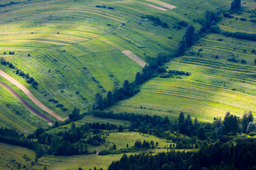 Pieniny