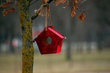 red bird feeder hanging on a rope in a tree