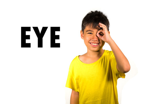 English language learning card with portrait of 8 years old child pointing his eye isolated on white background as part of school cards set of body and face parts