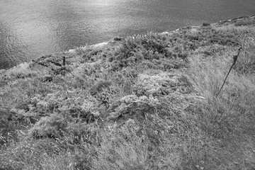 france; brittany,belle-&icirc;le-en-mer  island  : coast and sea
