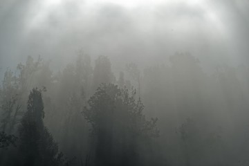 Postojna Morning Fog