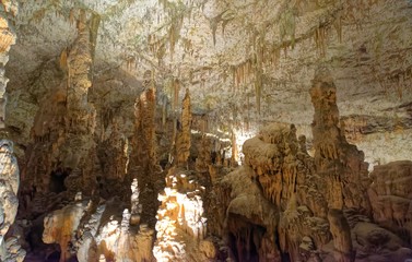 Postojna Cave - Postojnska Jama