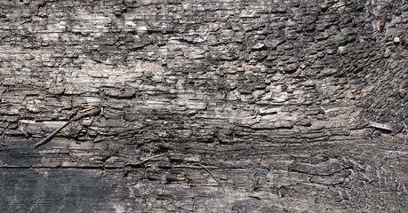 The background of old wood and straw. Texture background of gray wood and dry twigs.