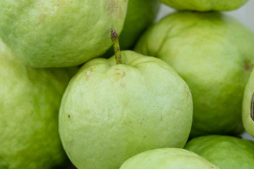View of green guava.