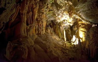 Postojna Cave - Postojnska Jama
