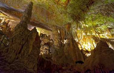 Postojna Cave - Postojnska Jama