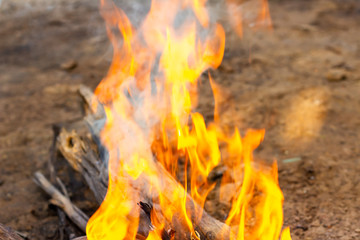 The image of logs in the burning fire. Flame of the burning fire.