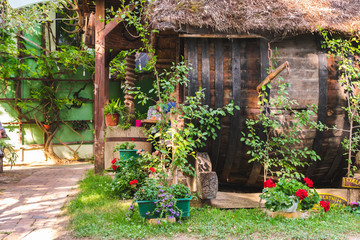 Fototapeta na wymiar View of a traditional Croatian house terrace covered with straw, a decorative wooden barrel and flowers. 