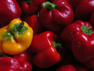 Papryka