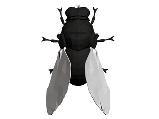 Polygonal Realistic Fly
