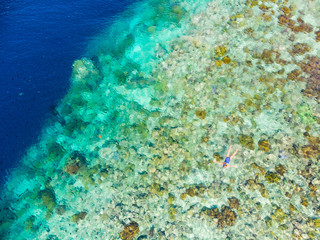 Aerial top down people snorkeling on coral reef tropical caribbean sea, turquoise blue water. Indonesia Wakatobi archipelago, marine national park, tourist diving travel destination