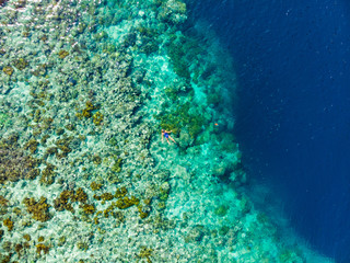 Aerial top down people snorkeling on coral reef tropical caribbean sea, turquoise blue water. Indonesia Wakatobi archipelago, marine national park, tourist diving travel destination