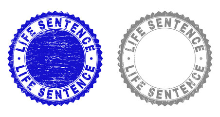 Grunge LIFE SENTENCE stamp seals isolated on a white background. Rosette seals with grunge texture in blue and gray colors. Vector rubber stamp imprint of LIFE SENTENCE text inside round rosette.