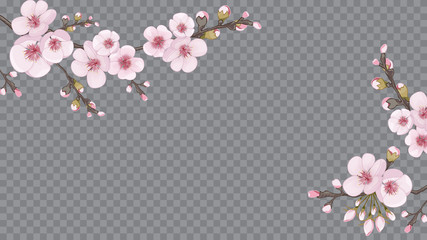 Festive frame horizontal of sakura flowers. Theme design fabric, invitations, packaging, cards. Magenta on transparent background. Handmade background in the Japanese style.