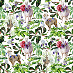 Watercolor seamless tropical pattern of  alpaca, ostrich and cartoon llama with pasque-flower, peony, orchid. Exotic leaves of schefflera, croton, monstera. Use as wallpaper, wrapping paper.