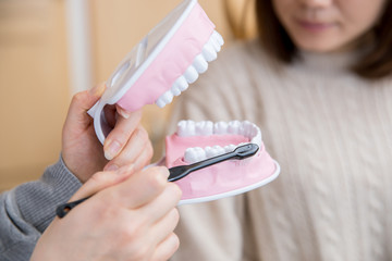 歯磨き指導（奥歯）