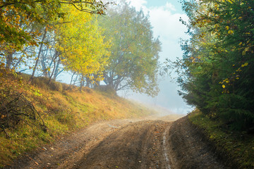 Naklejka premium road uphill through forest in autumn fog. colorful trees on the side way. dramatic nature scenery