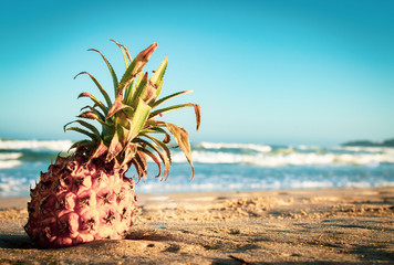 A pineapple on the beach, in the sand; drifted from the sea. Vacation mood and happy hour. With copyspace