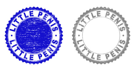 Grunge LITTLE PENIS stamp seals isolated on a white background. Rosette seals with grunge texture in blue and grey colors. Vector rubber watermark of LITTLE PENIS text inside round rosette.