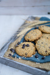 Oat cookie with chocolate chips close up selective focus