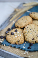 Oat cookie with chocolate chips close up selective focus
