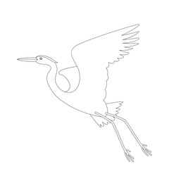 heron bird,   vector illustration,  lining draw, profile