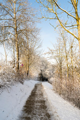 Moosburg im Winter - 248428796