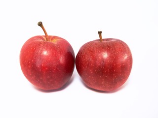 apples isolated on white background